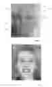 Fig. 02 - MASK FOR A DOLL