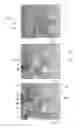 Fig. 03 - MASK FOR A DOLL