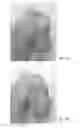 Fig. 07 - MASK FOR A DOLL
