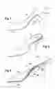 Fig. 02 - SHOE WITH A REMOVABLE INTERCHANGEABLE HEEL AND VARIABLE CURVATURE
