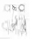 Fig. 19 - Footwear with dynamic arch system