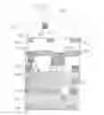 Fig. 09 - Accessory organization, secure storage and transportation system