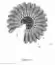 Fig. 04 - Small container scrubber