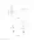 Fig. 03 - Multi-use display screen support device