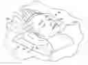 Fig. 01 - Supportive head cradle pillow to aid in back sleeping and protect facial skin