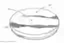 Fig. 01 - Beverage Cup Protector Lid Apparatus, Method and System