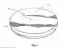 Fig. 02 - Beverage Cup Protector Lid Apparatus, Method and System