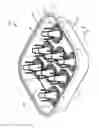 Fig. 10 - Device and system for cooking bacon wrapped foods
