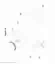 Fig. 17 - Systems and methods for handrail cleaning