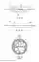Fig. 08 - CURVED SHAPE SENSOR