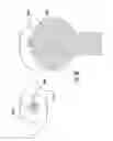 Fig. 07 - Automated detection of eye alignment