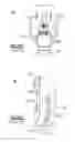 Fig. 03 - Borescopic optical system for medical diagnostic instruments and medical diagnostic instruments having interlocking assembly features