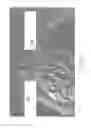 Fig. 02 - OPTOELECTRONIC DEVICE TO WRITE-IN AND READ-OUT ACTIVITY IN BRAIN CIRCUITS
