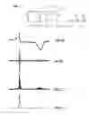 Fig. 03 - Image display interfaces