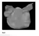 Fig. 06 - Image display interfaces