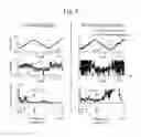 Fig. 04 - Motor function analysis system and operational method of system