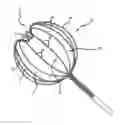 Fig. 01 - Multi-electrode mapping catheter