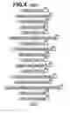 Fig. 04 - Radiographic imaging method and apparatus
