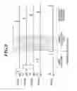 Fig. 07 - Radiation image capturing system