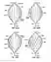 Fig. 29 - Endoluminal filter having enhanced echogenic properties