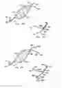 Fig. 58 - Endoluminal filter having enhanced echogenic properties