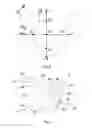 Fig. 05 - Apparatus and method of ultrasound image acquisition, generation and display