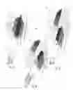 Fig. 02 - Separable Specimen Collection Device