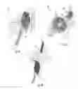 Fig. 05 - Separable Specimen Collection Device