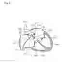 Fig. 05 - MEDICAL MATERIAL