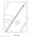 Fig. 41 - SYSTEM FOR PROVIDING SURGICAL ACCESS