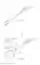 Fig. 19 - URETHRAL ANASTOMOSIS DEVICE AND METHOD