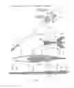 Fig. 25 - URETHRAL ANASTOMOSIS DEVICE AND METHOD