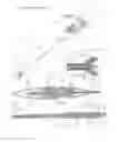 Fig. 27 - URETHRAL ANASTOMOSIS DEVICE AND METHOD