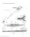 Fig. 28 - URETHRAL ANASTOMOSIS DEVICE AND METHOD