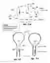 Fig. 68 - URETHRAL ANASTOMOSIS DEVICE AND METHOD