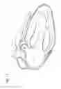 Fig. 07 - TISSUE CAPTURE AND OCCLUSION SYSTEMS AND METHODS