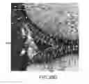 Fig. 74 - System and method for image segmentation in generating computer models of a joint to undergo arthroplasty