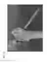 Fig. 32 - Bone drill guides and methods of use thereof