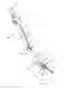 Fig. 09 - IRIS RETRACTOR FORCEPS