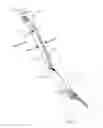 Fig. 10 - IRIS RETRACTOR FORCEPS