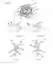 Fig. 14 - Needle positioning apparatus