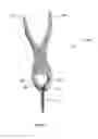Fig. 07 - Composite material spinal implant