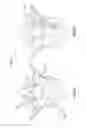Fig. 08 - Composite material spinal implant