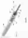 Fig. 29 - Composite material spinal implant