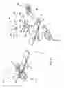 Fig. 10 - Pectus bar stabilizer