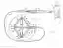 Fig. 01 - Balloon design to enhance cooling uniformity