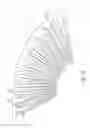 Fig. 27 - Surgical instrument