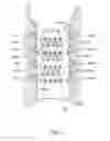 Fig. 12 - SYSTEMS AND METHODS FOR TREATING DYSFUNCTIONS IN THE INTESTINES AND RECTUM THAT ADAPT TO THE ANATOMIC FORM AND STRUCTURE OF DIFFERENT INDIVIDUALS