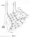 Fig. 06 - Systems and methods for controlling use of treatment devices