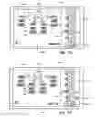 Fig. 23 - Systems and methods for controlling use of treatment devices
